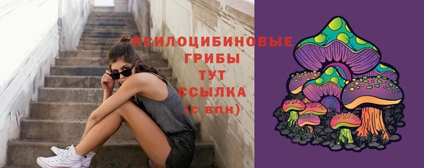 спайс Арсеньев