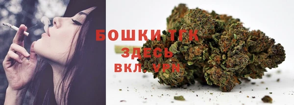 спайс Арсеньев