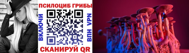 что такое наркотик  гидра онион  Псилоцибиновые грибы Psilocybe  Петухово 