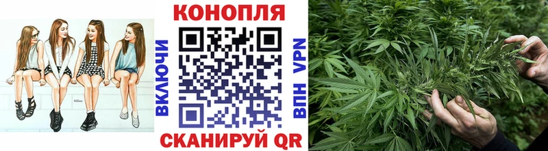 Бошки марихуана тримм  продажа наркотиков  Петухово 